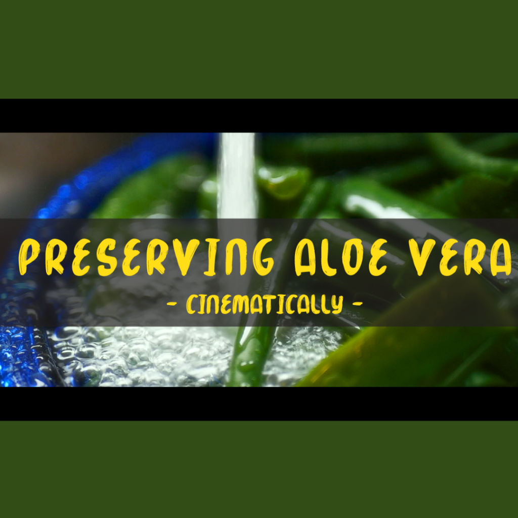 Preserving Aloe Vera- Cinematically